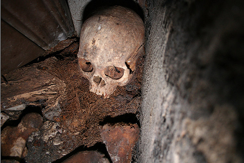 Evergreen Cemetary Human Skull